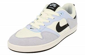 Кроссовки NIKE Sb Alleyoop мужские Cj0882 - Фото 1