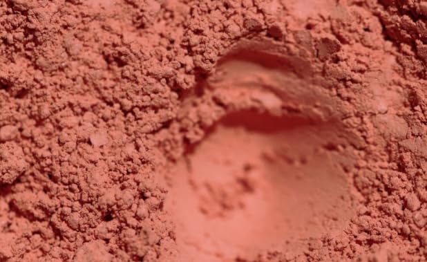 Рум'яна Snow Cosmetics DELHI 100% мінеральна пудра матова Абрикосова троянда веган 4 г, фото №3