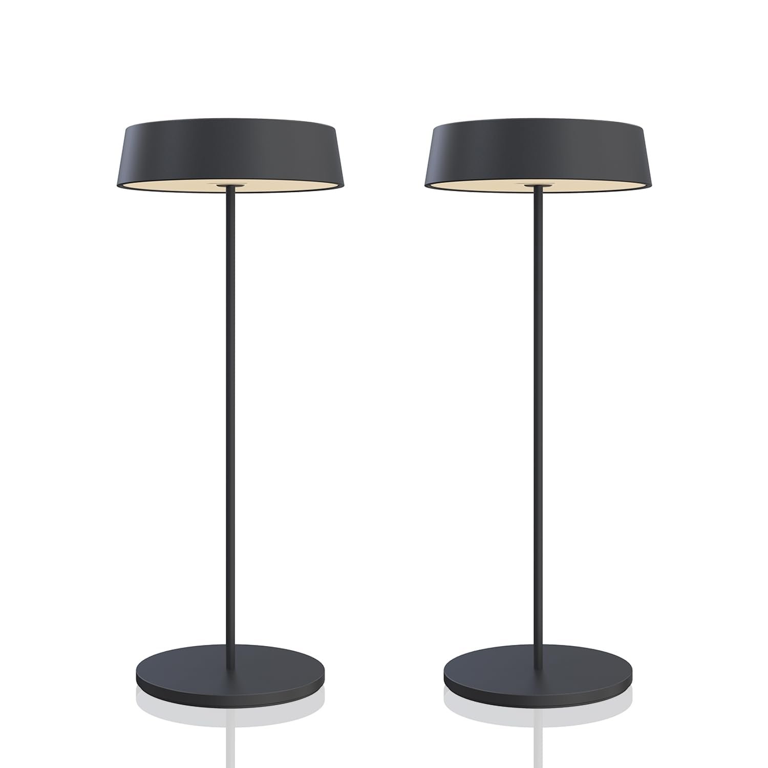 Настільна лампа Palmina 901 LED Димерна 4400 мАг Бездротова IP54, фото №1