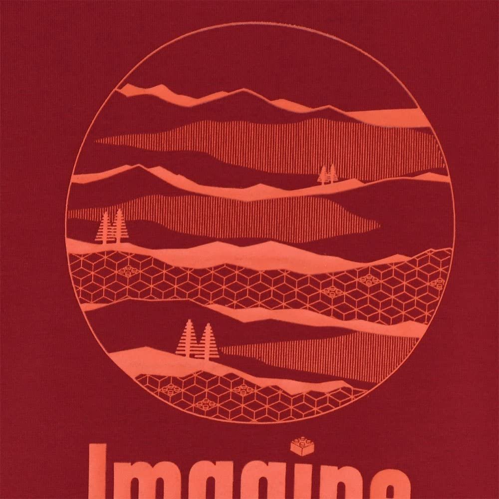 Толстовка LEGO Unisex Wear для хлопчиків, фото №3