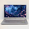 Ноутбук 15.6'' Medion (Lenovo Group) Akoya P15645 | Intel Core i7-8565U | IPS (1920x1080) FullHD | RAM 8 ГБ | SSD 256 ГБ | Nvidia GeForce MX250 | Intel UHD Graphics 620 | Металевий корпус | Win11 (4970) Б/В Хороший