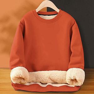 Женский термопуловер Teddy Fleece, без капюшона, с круглым вырезом, на подкладке, большого размера, плюшевый длинный пуловер, однотонный топ, длинный рукав цена на synthetic.ua - Фото 1 Женский термопуловер Teddy Fleece, без капюшона, с круглым вырезом, на подкладке, большого размера, плюшевый длинный пуловер, однотонный топ, длинный рукав synthetic.ua - Фото 1