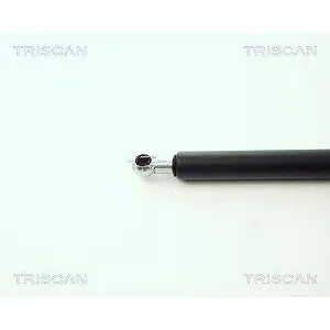 Газовая пружина багажника TRISCAN 8710 11216 BMW, задняя левая synthetic.ua - Фото 1