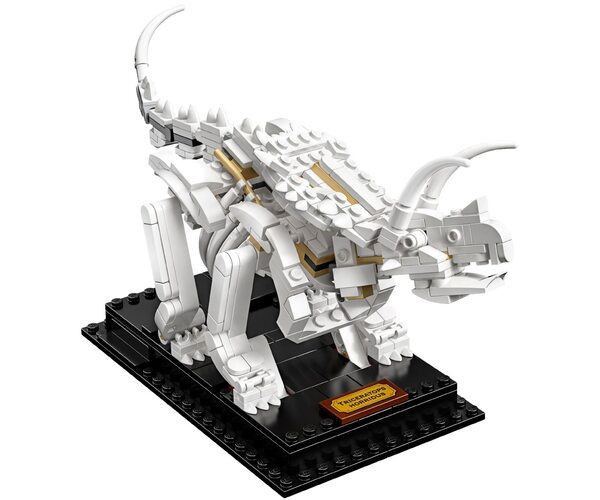 Конструктор LEGO Ideas Окаменелости динозавров (21320), фото №8
