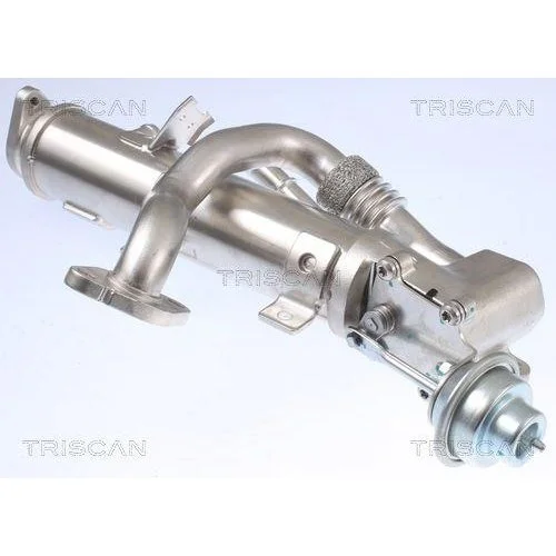 Радиатор EGR TRISCAN 8813 29329 для AUDI SEAT, фото №3