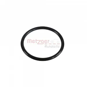 Уплотнительное кольцо турбины METZGER 2430062 - Фото 1