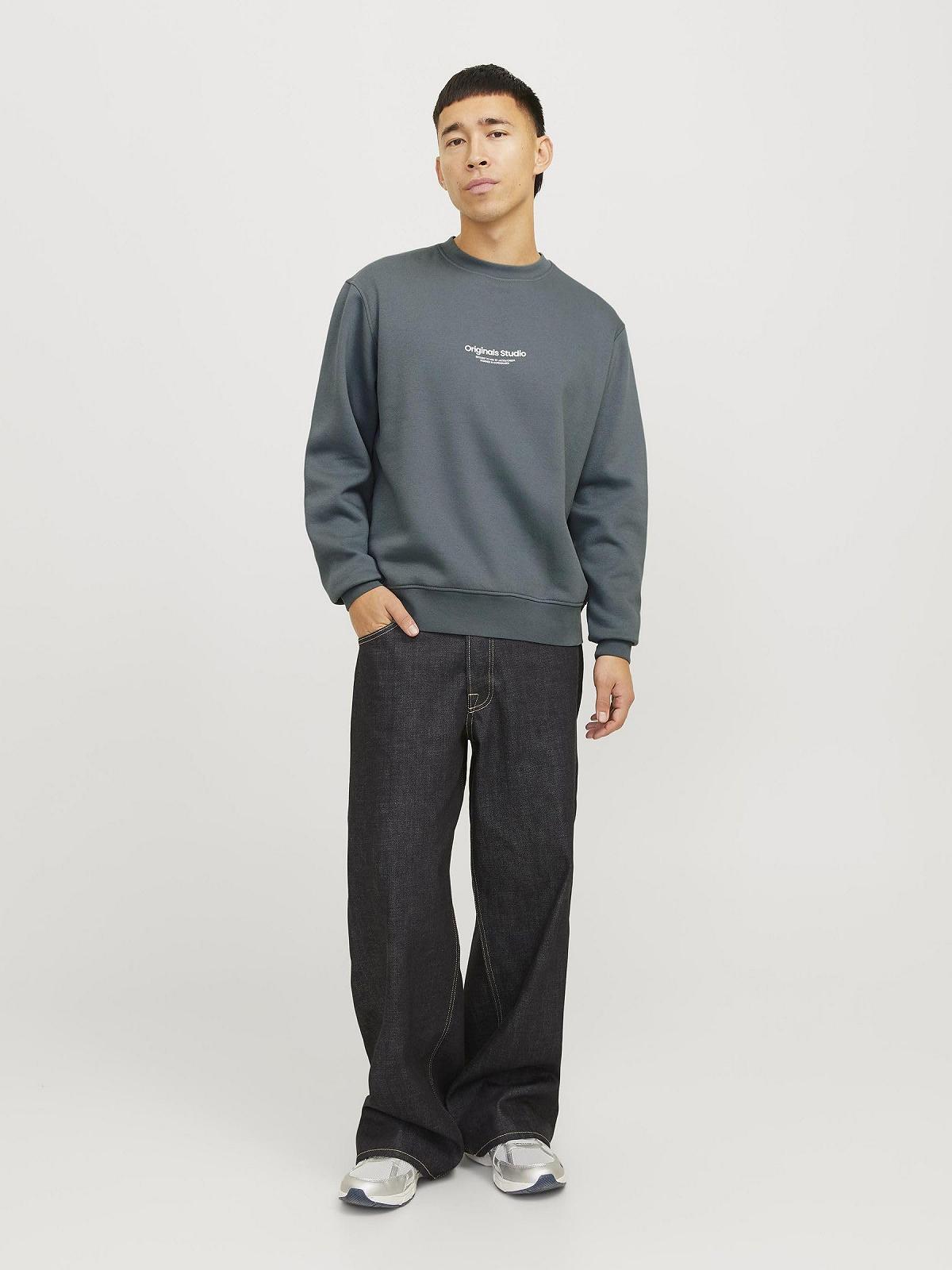 Світшот JACK & JONES Jorvesterbro Crew Neck Noos Чоловічий, фото №5