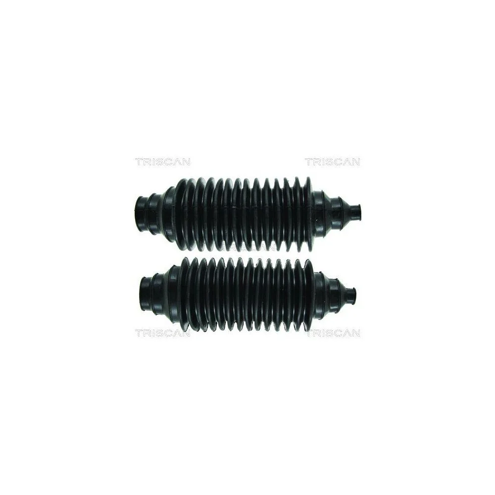 Комплект пыльников рулевого управления TRISCAN 8500 250, фото №1