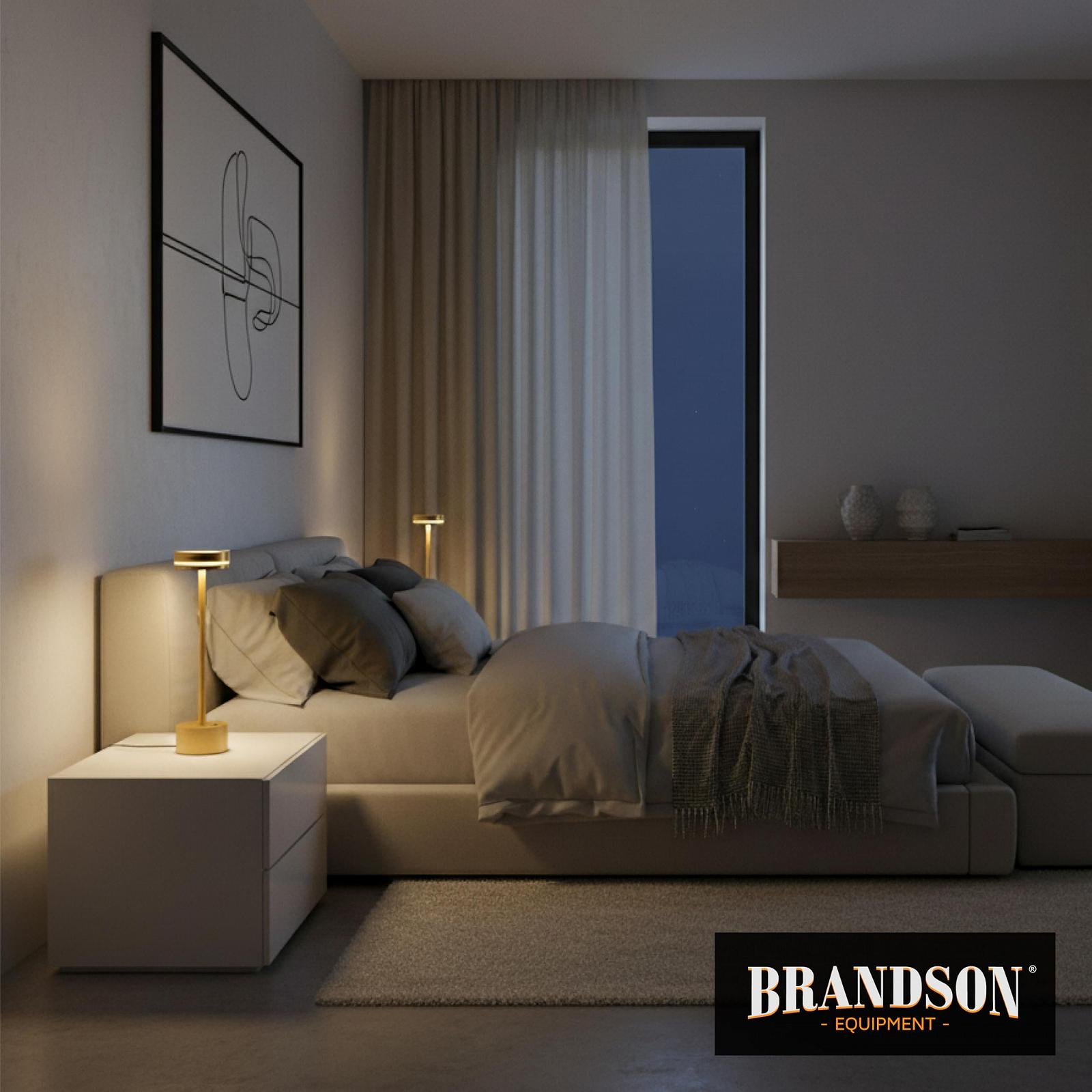 Настільна лампа LED Brandson Wireless Dimmable 3600 мАг 28 SMD LED, фото №5