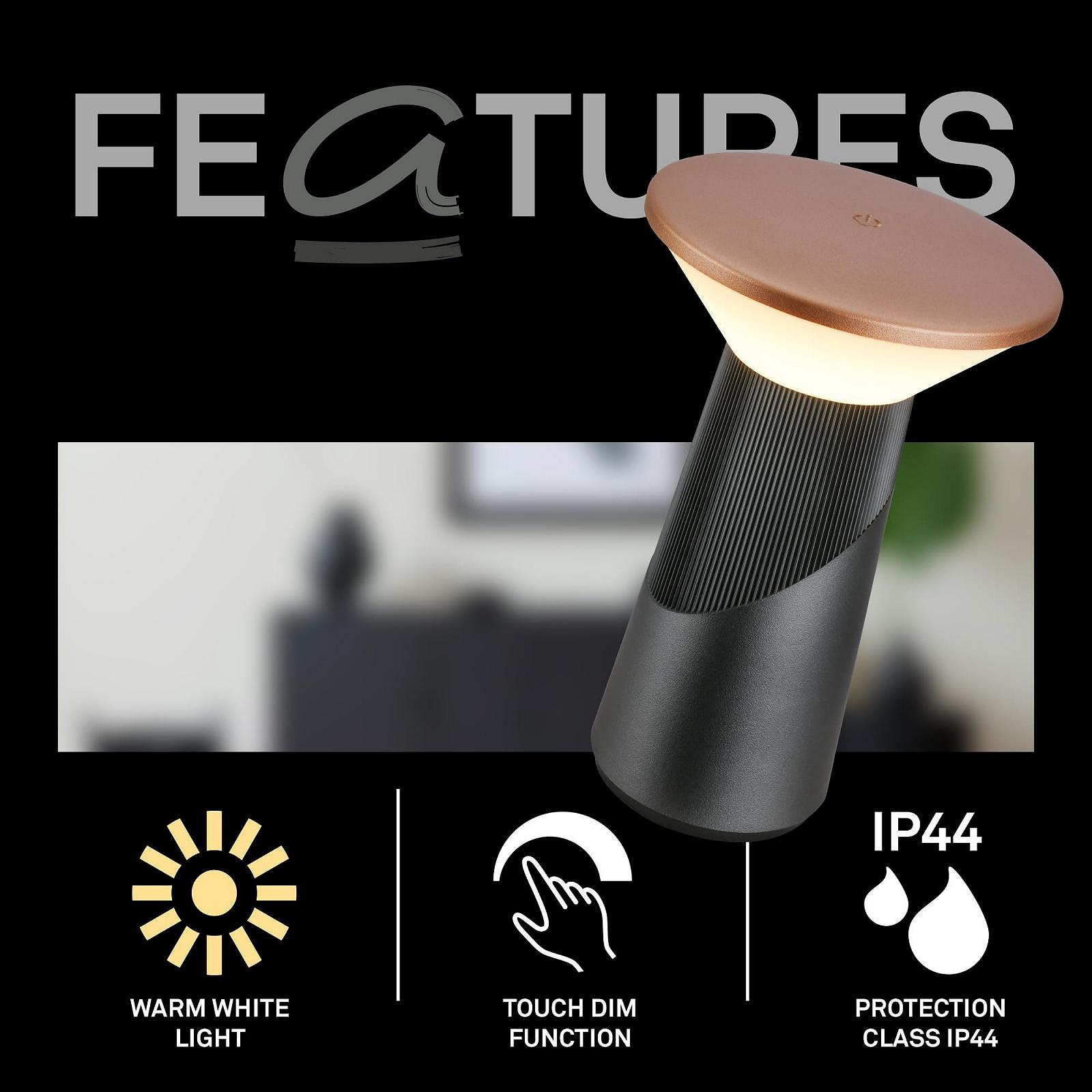 Настольная светодиодная лампа BRILONER Pilia LED Беспроводная IP44 Регулируемая 15 x 24 см Антрацит Бронзовый металлик, фото №2