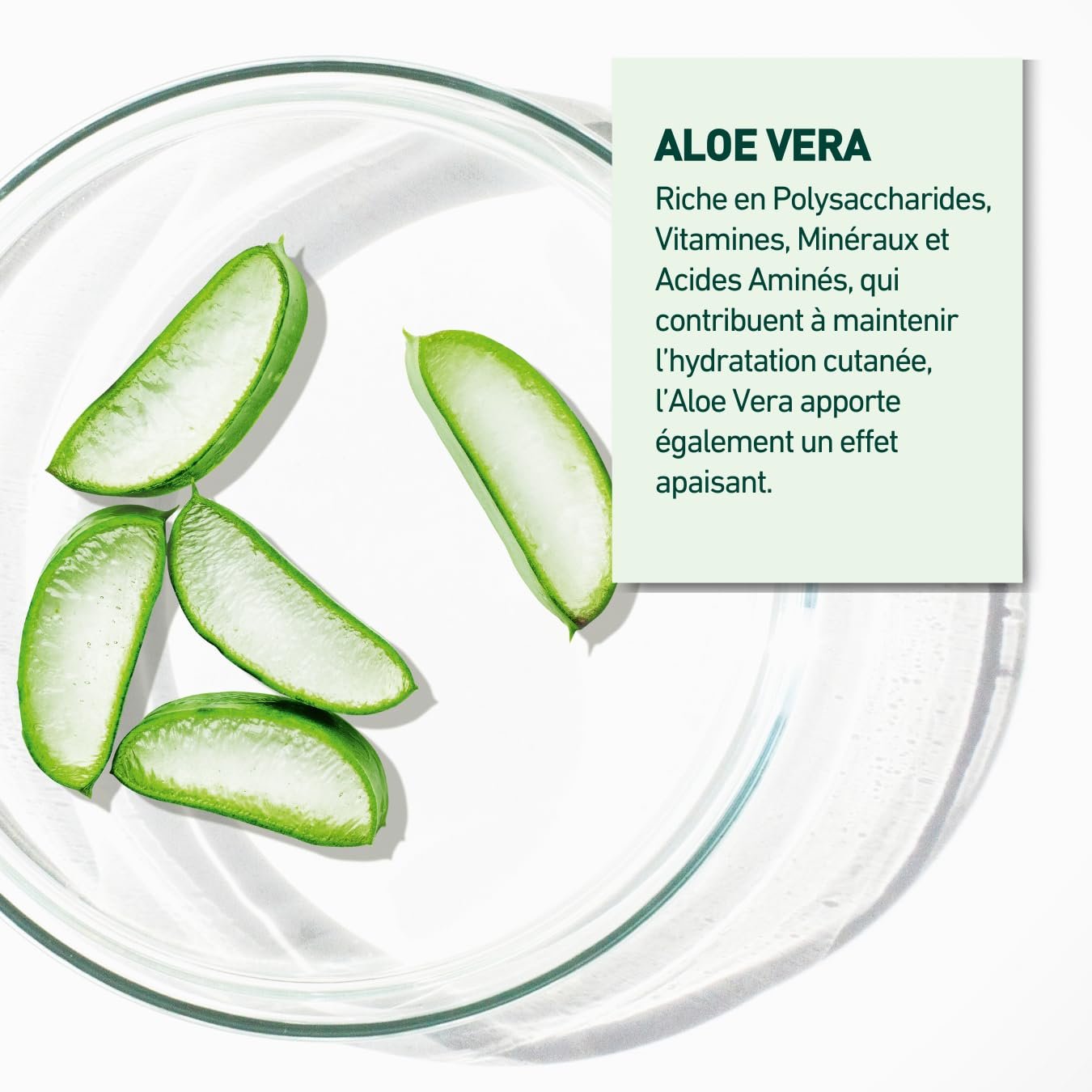 Гель Laboratoires Vendôme Nutri V+ Живильний та захисний з алое вера для сухої та дуже сухої шкіри 400 мл, фото №4