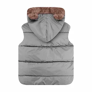 Детский зимний жилет с капюшоном JiAmy для малышей, мальчиков и девочек, стеганый ветрозащитный безрукавный милый жилет с медвежьими ушками, весенне-осенне-зимний жилет для детей от 18 месяцев до 6 лет synthetic.ua - Фото 1