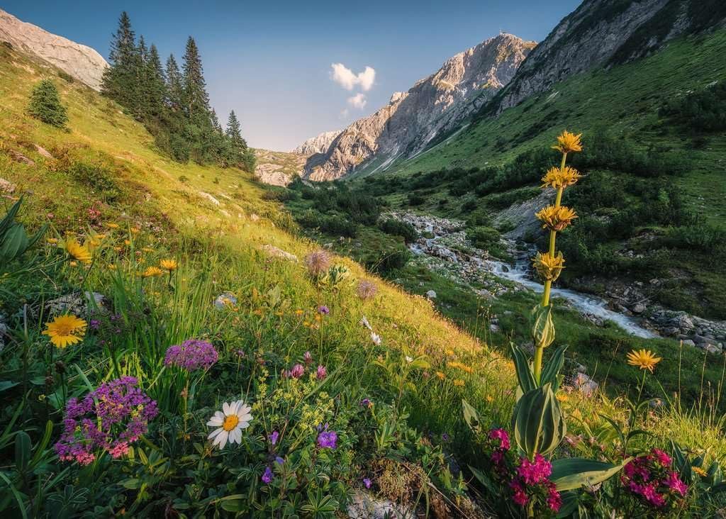 Пазл Ravensburger 12000484 In the Garden of Eden 1000 елементів, фото №2