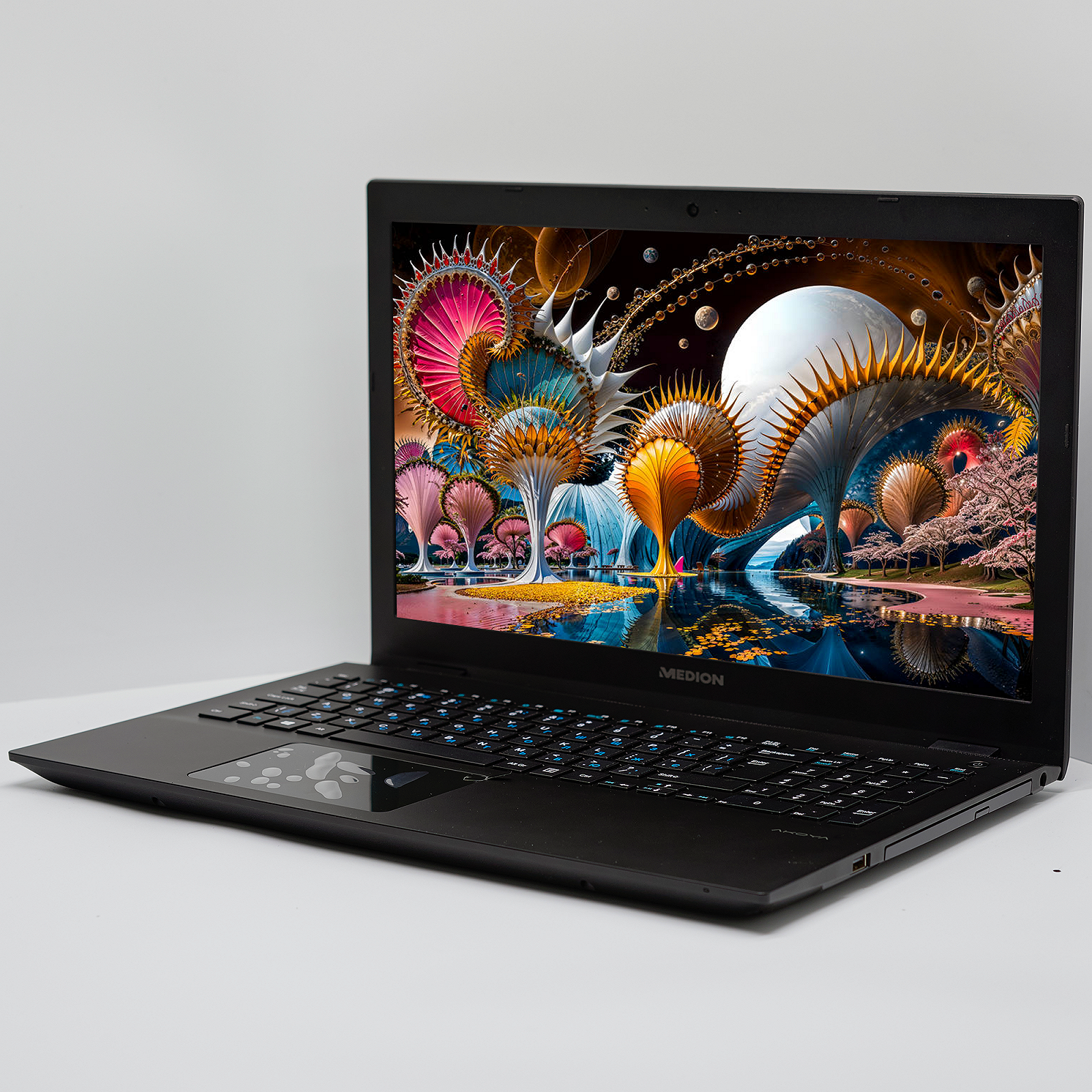 Ноутбук 15.6'' Medion (Lenovo Group) Akoya P6687 Intel Core i5-8250U RAM 8 ГБ SSD 256 ГБ + HDD 1 ТБ Nvidia GeForce Win10 (4888), фото №2 Ноутбук 15.6'' Medion (Lenovo Group) Akoya P6687 Intel Core i5-8250U RAM 8 ГБ SSD 256 ГБ + HDD 1 ТБ Nvidia GeForce Win10 (4888), фото №2