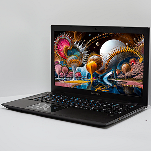 Ноутбук 15.6'' Medion (Lenovo Group) Akoya P6687 Intel Core i5-8250U RAM 8 ГБ SSD 256 ГБ + HDD 1 ТБ Nvidia GeForce  Win10 (4888) synthetic.ua - Фото 1