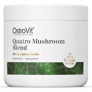 Смесь четырех грибов OstroVit Quatro Mushroom Blend 100 g - Фото 1