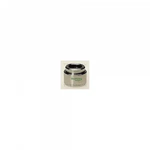 Поршень гальмівного супорта TRISCAN 8170 234004 - Фото 1