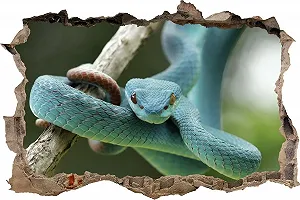 Наклейка на стіну DW000045 Змія рептилія Кам'яний ландшафт 90 см x 60 см Коричнева - Фото 1