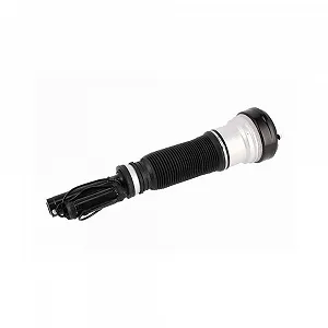 Пневматична стійка VEMO V30-50-0025 для MERCEDES-BENZ - Фото 1