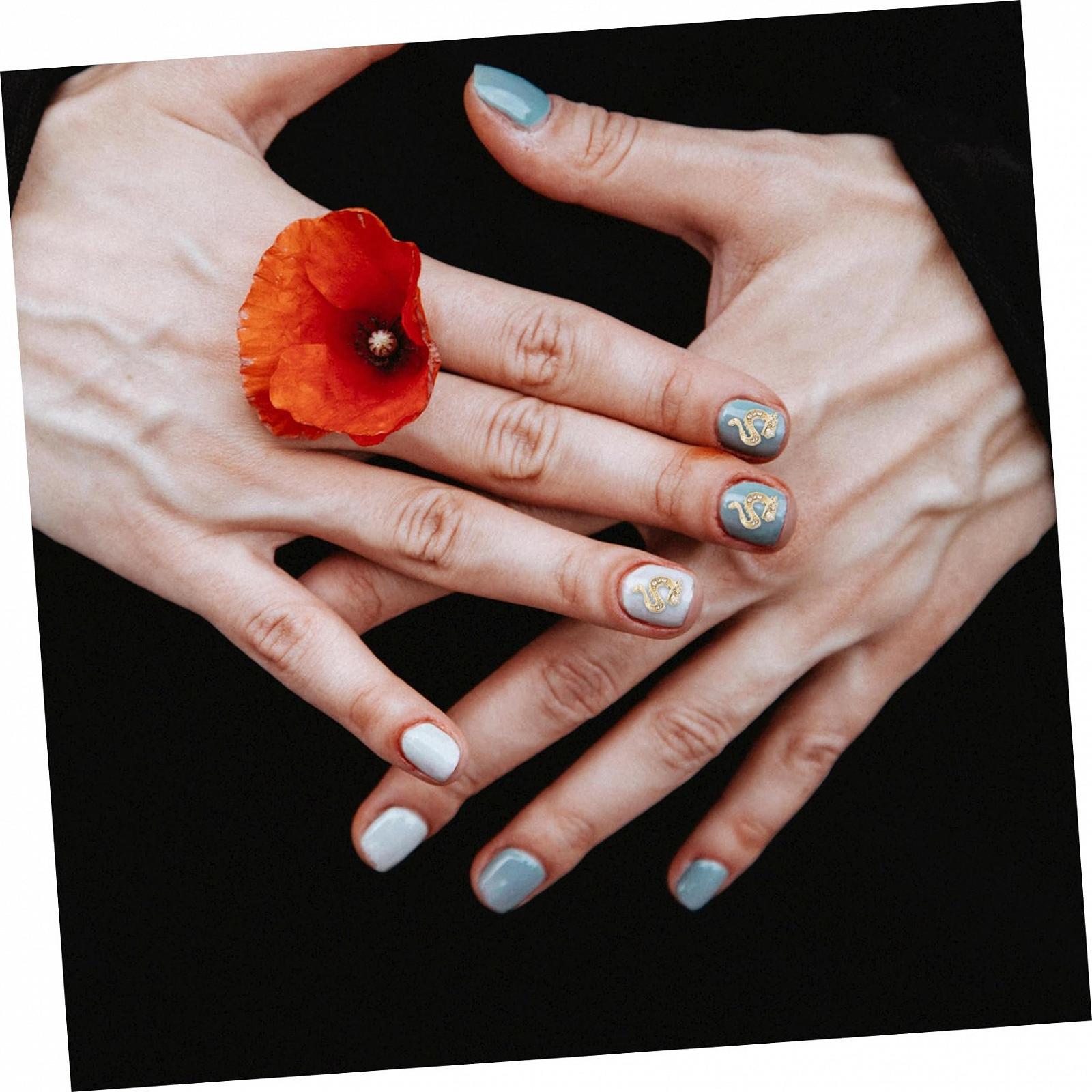 Подвеска для ногтей Dragon 3D Животный, 50 шт., фото №8