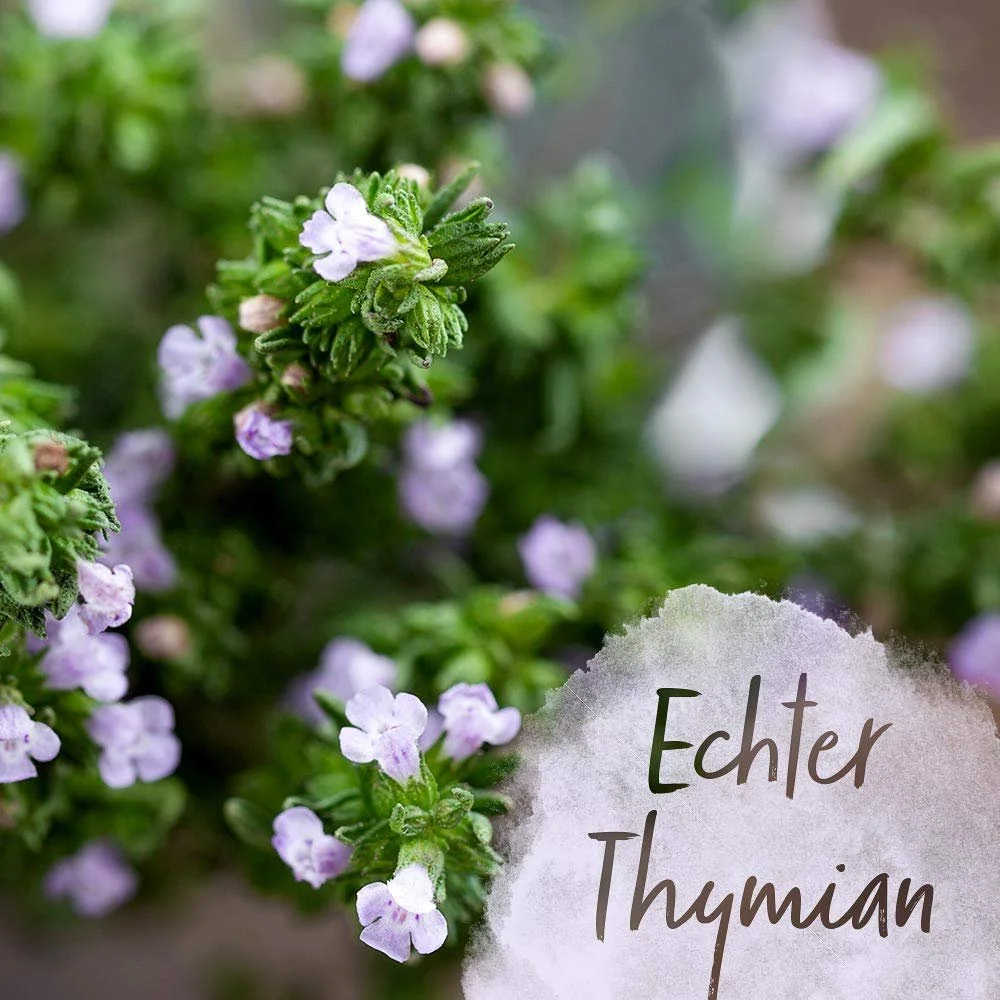 Засіб для росту волосся Vital Fluid Forte	Strong, фото №7