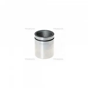 Поршень тормозного суппорта TRISCAN 8170 235121 - Фото 1