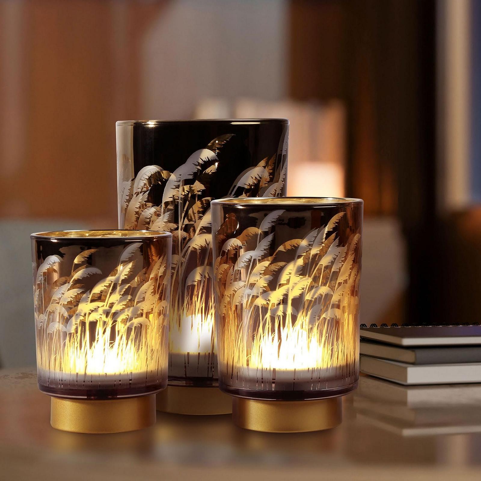 Настільна лампа Eywamage Small Battery Pampas Grass бездротова скляна з пультом керування та таймером, фото №5