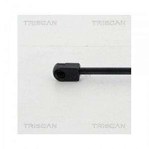 Амортизатор багажника TRISCAN 8710 16260 для FORD, сзади слева synthetic.ua - Фото 1