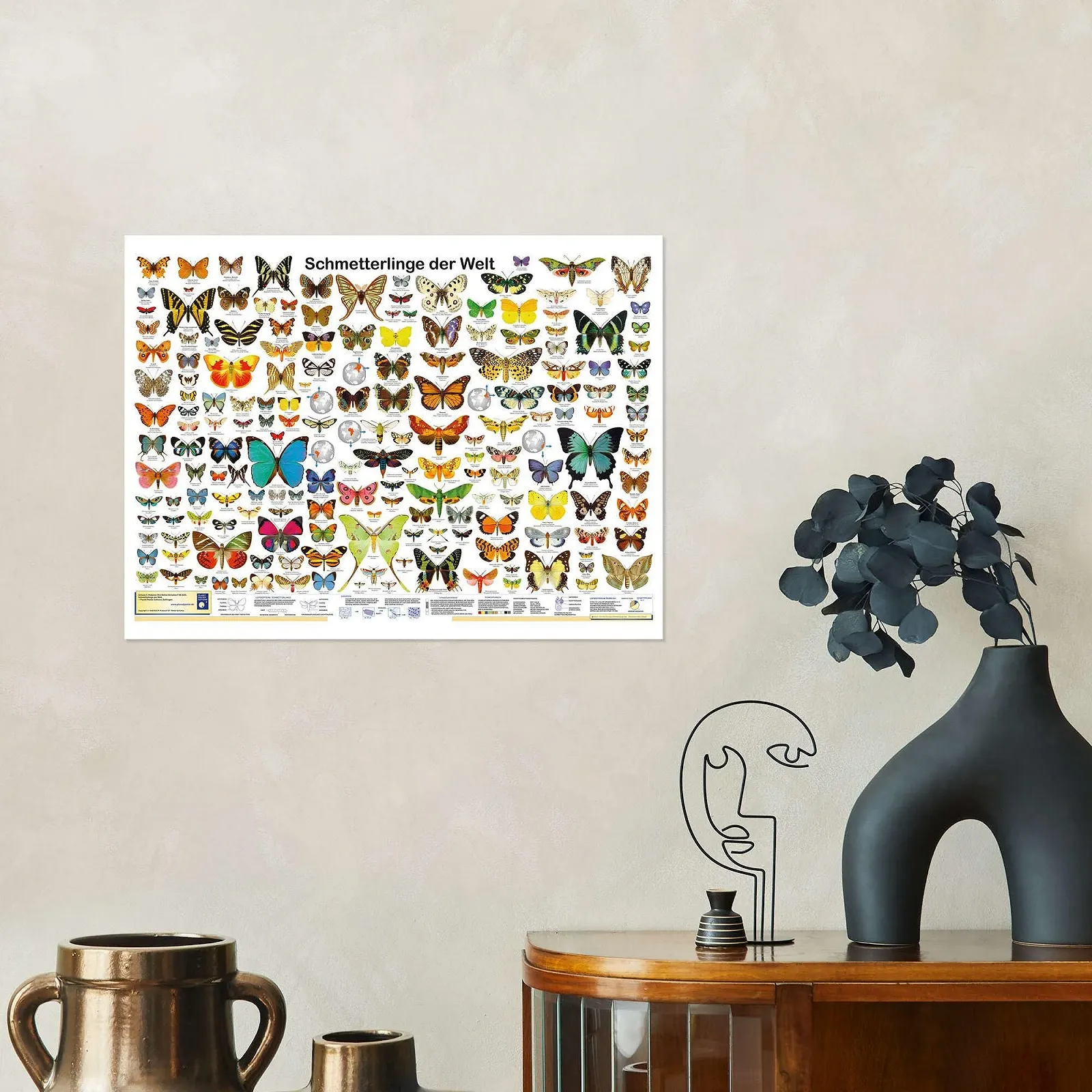 Постер Planet Poster Editions Butterflies of the World 90 x 70 см Разноцветный, фото №6 Постер Planet Poster Editions Butterflies of the World 90 x 70 см Разноцветный, фото №6