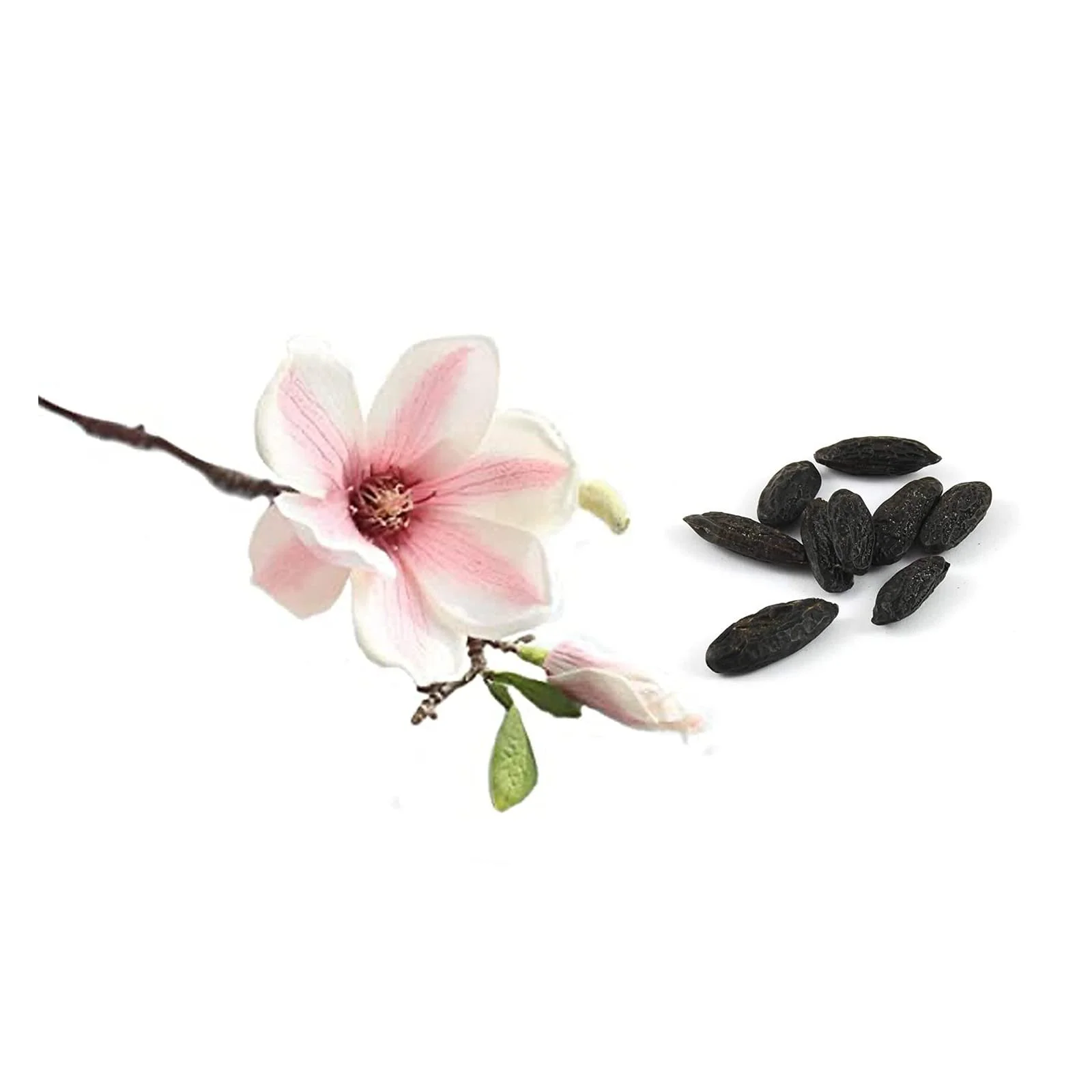 Парфумерна вода Derek Lam Looking Glass для жінок, спрей, 170 мл, фото №3