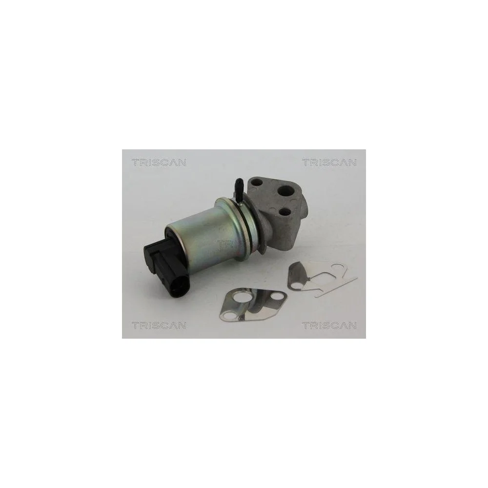 Клапан EGR TRISCAN 8813 29044 для SEAT SKODA VW, фото №1