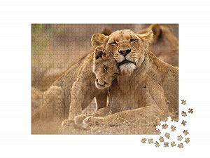 Пазл puzzleYOU Puzzle Collection Lions, Safari, Animals in Savannah & Desert Львица и львенок в национальном парке Крюгера, ЮАР 1000 элементов synthetic.ua - Фото 1