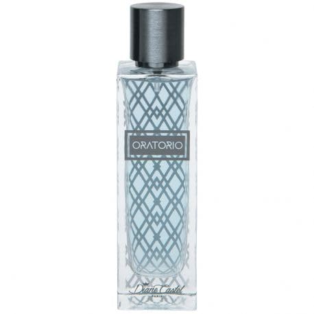 Парфюмированная вода Diane Castel Oratorio Homme 100ml, фото №1