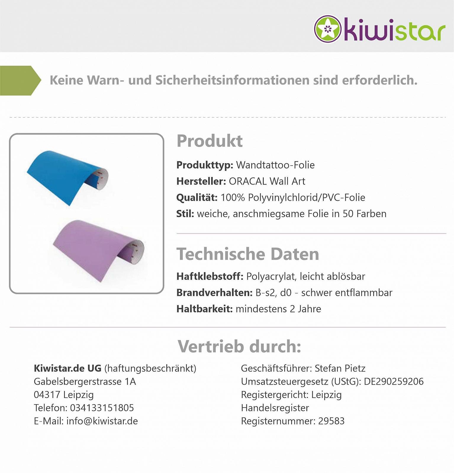 Наклейка на стену Viking Compass Runes, фото №8