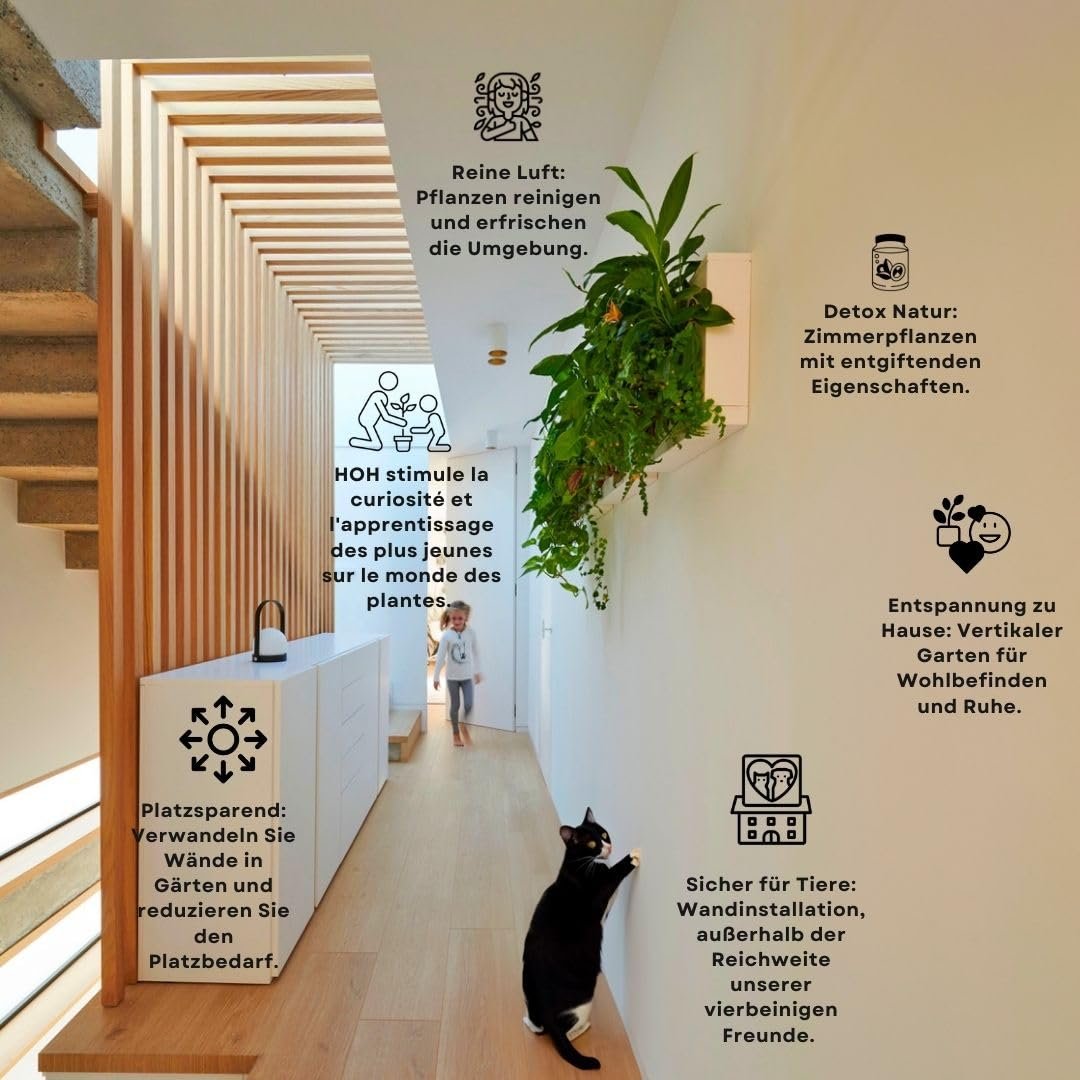 Настінне кашпо Ortisgreen HOH дизайнерське пластикове з мохом Біле, фото №7 Настінне кашпо Ortisgreen HOH дизайнерське пластикове з мохом Біле, фото №7