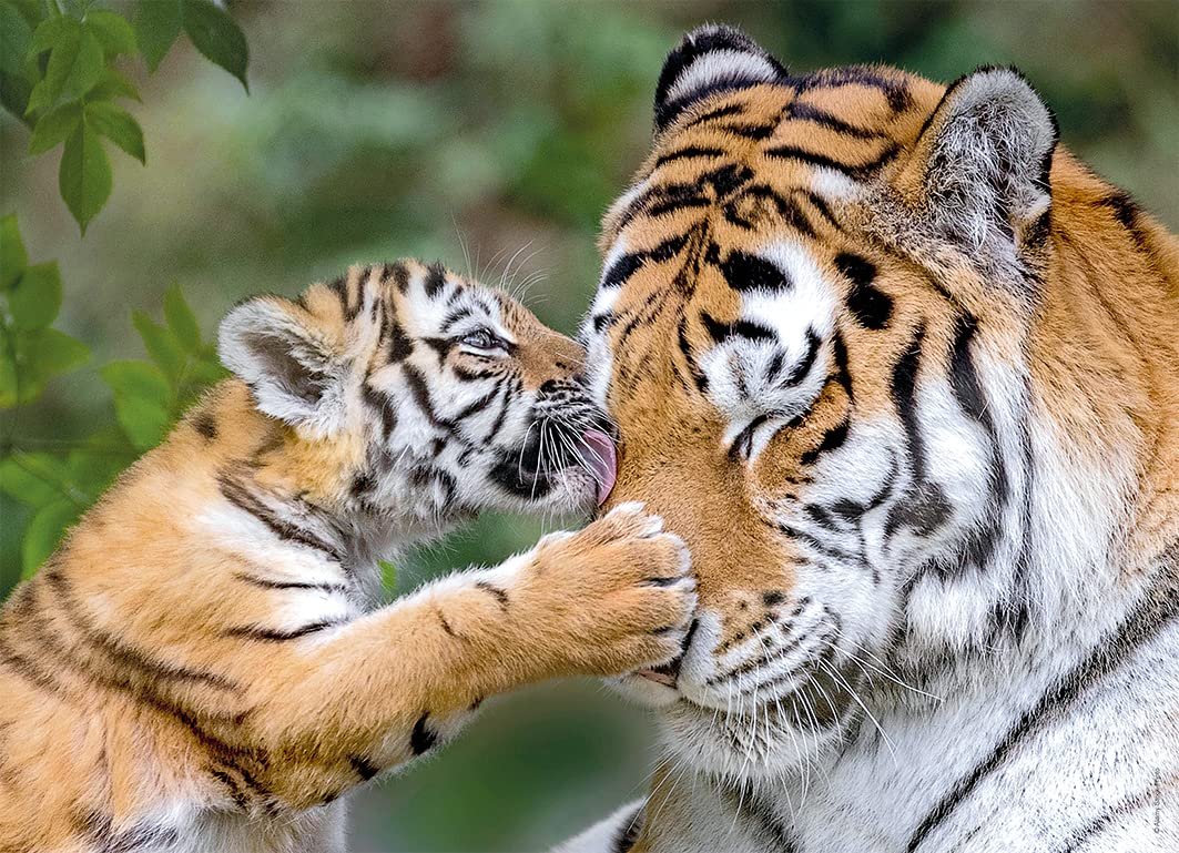 Пазл Ravensburger 05624 Animali Bumper Pack 4 x 100 элементов, фото №3