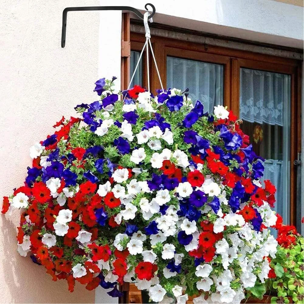 Тримачі для підвісних кошиків набір 2 шт. 18 см Залізо Чорний, фото №2 Тримачі для підвісних кошиків набір 2 шт. 18 см Залізо Чорний, фото №2