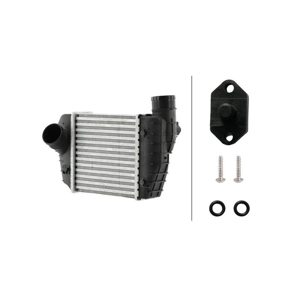 Интеркулер HELLA 8ML 366 470-991, фото №1