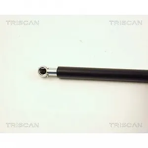 Газлифт багажника TRISCAN 8710 28215 для PEUGEOT synthetic.ua - Фото 1
