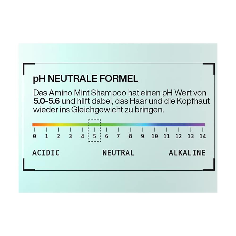 Шампунь Redken Amino Mint для жирной и раздраженной кожи головы, с балансом pH, с мятой и комплексом аминокислот, 300 мл, фото №5