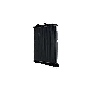 Радиатор охлаждения двигателя HELLA 8MK 366 300-721 для DAF - Фото 1