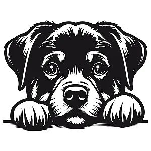 Наклейка на стіну GRAZDesign Собака 52 x 40 см Чорна synthetic.ua - Фото 1