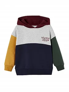 Толстовка с капюшоном Vertbaudet для мальчиков в стиле колор-блок Basics с переработанным полиэстером - Фото 1