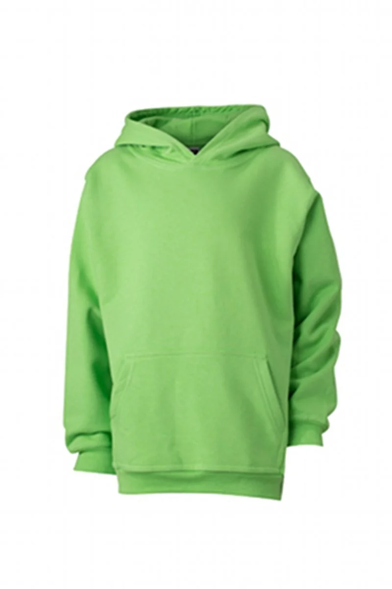 Толстовка James & Nicholson Hooded Sweat Junior, фото №1