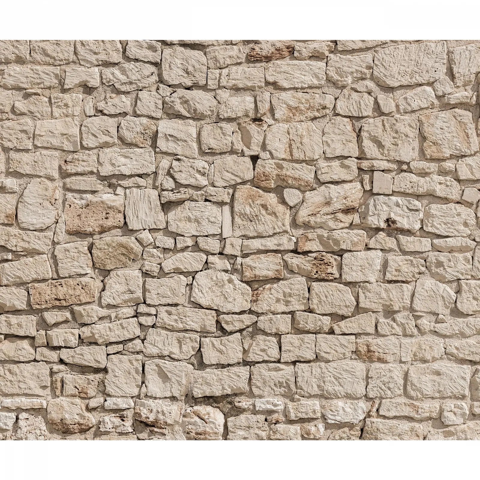 Фотошпалери F/B/0013/A-A 400 x 280 см, фото №1