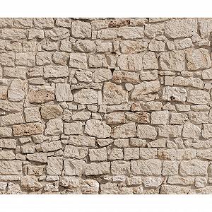 Фотообои F/B/0013/A-A 400 x 280 см - Фото 1