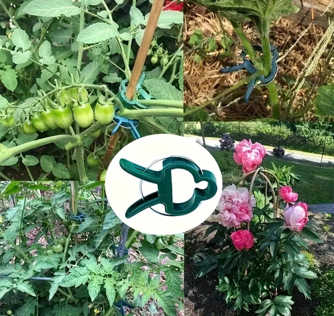 Затискачі для кріплення рослин, фото №1