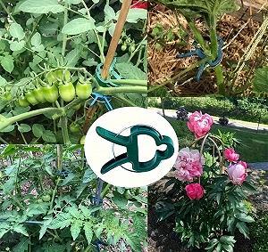 Затискачі для кріплення рослин - Фото 1