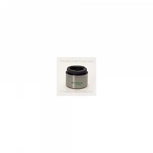 Поршень тормозного суппорта TRISCAN 8170 233625 - Фото 1