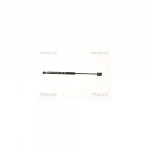 Амортизатор заднього скла TRISCAN 8710 25247 для RENAULT - Фото 1